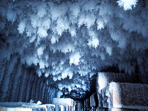 Ice crystals growing on the ceiling of the storage area