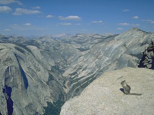 Squirrel on the summit of Half Dome