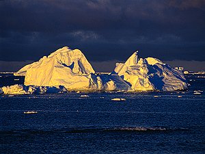 Icebergs in the sunset