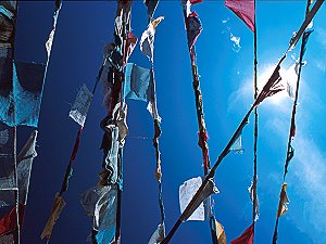 Prayer flags up a mountain