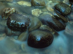 Wet stones in a river, Abbruzzo