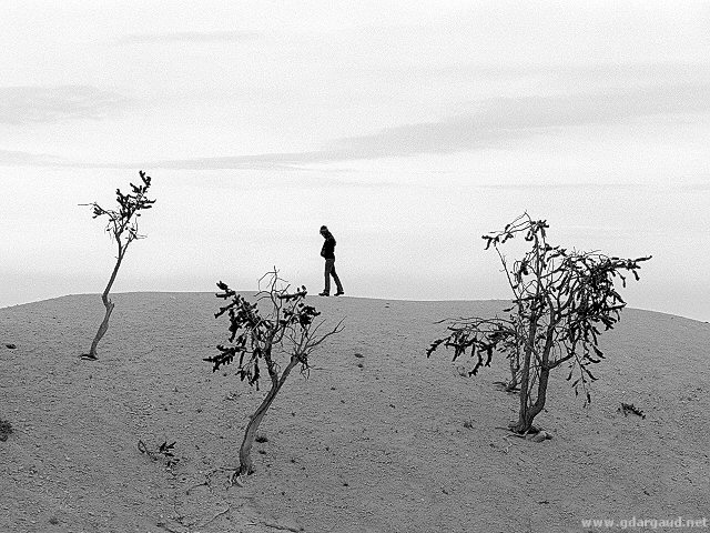 [BW_TreeHorizon.jpg]
Everything is in shades of gray on this image with little contrast. Only the crawny trees and the person offer a little contrast on this landscape of Bryce Canyon. If the print is too light, the sky would end up washed out white, if it's too dark the ground would disappear in darkness...