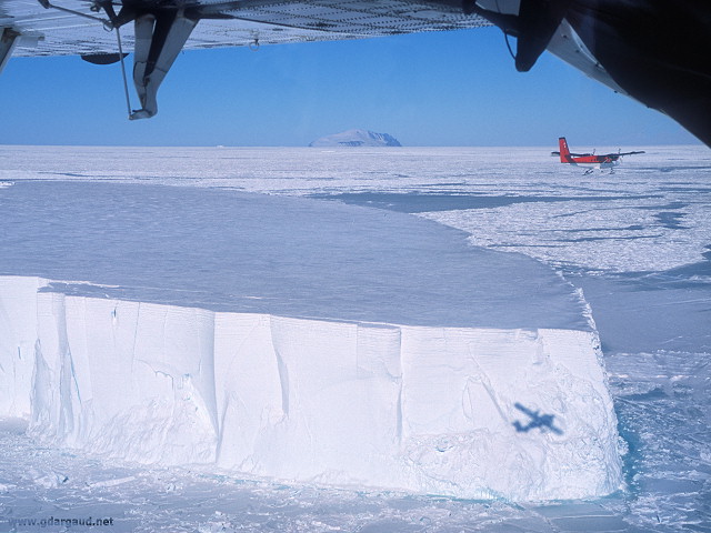 [FlyingAboveIceberg.jpg]
Twin Otter flying above a 'small' tabular iceberg.