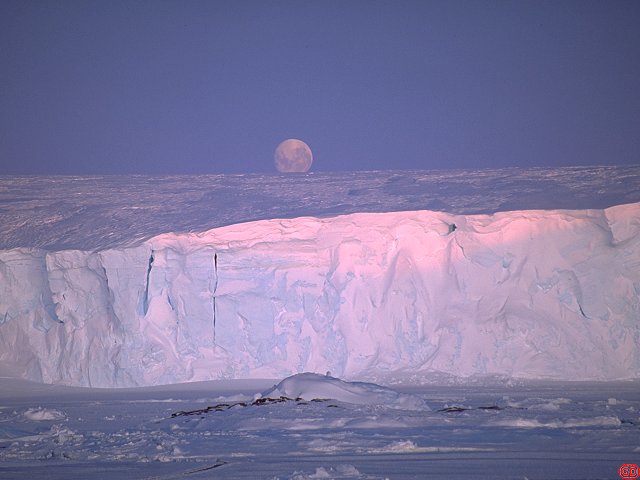 [GlacierMoon.jpg]
Moonrise above an iceberg of the Astrolabe glacier at Dumont d'Urville