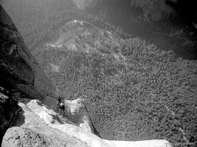 [Salathe_BW10_FarDown2.jpg]
Jenny jugging up the pitch above Long Ledge, Salathé Wall, Yosemite.
