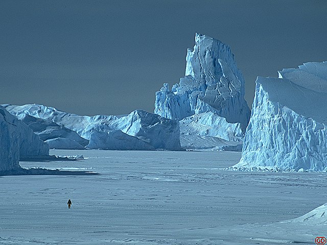 [TopIceberg.jpg]
The highest, hardest and last iceberg Grosnitho and I climbed. Climbing icebergs is a lots less fun than one might think, between the cold freezing your hands on the ice axe, the high-pressure ice that shatters on hitting it and the risk of having the berg tip over...