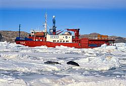 DdU095 - The Astrolabe ship in the sea ice