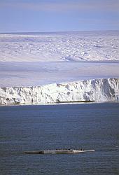 Ice085 - Astrolabe glacier
