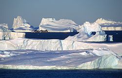 IcebergSummer - Icebergs in summer, Antarctica