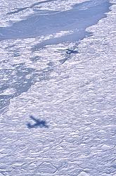 FlyingAboveSeaIce3 - Flying above a different kind of sea ice, a mix of sea-ice and strastrugi from recent snows (I guess)
[ Click to go to the page where that image comes from ]