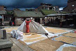 DryingCereals - Drying cereals, Nepal 2000