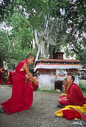 MonkSchool - Buddhist school, Tibet, 2000
[ Click to go to the page where that image comes from ]