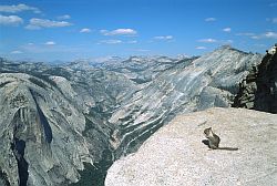 HalfDomeSquirel - Squirrel on the summit of Half Dome, Yosemite
[ Click to download the free wallpaper version of this image ]