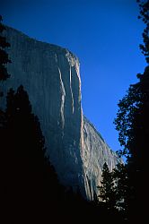 NoseBetweenTrees - The Nose of El Capitan between trees. Yosemite, California, 2003