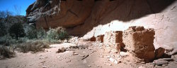 AnasazieHousePano - Anasazie house, Grand Gulch, Utah
[ Click to go to the page where that image comes from ]