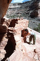 AnasazieRuin - Anasazie ruins, Grand Gulch, Utah
[ Click to go to the page where that image comes from ]
