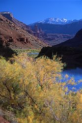 AutumnColoradoFisherLaSal - Fisher Towers and LaSal mountains seen from the Colorado river, Moab, Utah