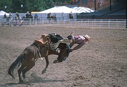 RodeoGetOff - Horse riding, rodeo in Cheyenne, Wyoming
[ Click to download the free wallpaper version of this image ]