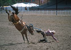 RodeoGround - Horse riding, rodeo in Cheyenne, Wyoming