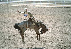 RodeoHorseJump - Horse riding, rodeo in Cheyenne, Wyoming
[ Click to download the free wallpaper version of this image ]