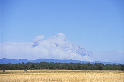 GrampiansFireSmoke - Smoke from the 2006 forest fires raising above Grampian National Park and visible from tens of km away, OZ.
[ Click to go to the page where that image comes from ]