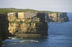 PerpendicularPointCliffs - A view of Point Perpendicular, with Thunderbird wall in the middle, Oz.
[ Click to go to the page where that image comes from ]