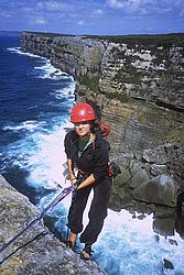 ThunderbirdWallRappelToSea - Rappelling down Thunderbird wall, Point Perpendicular, Oz
[ Click to go to the page where that image comes from ]