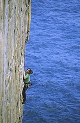 ThunderbirdWall_Bogged_Profile - Climbing on Thunderbird wall, Point Perpendicular, Oz.