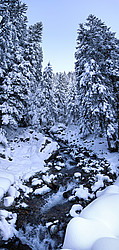 20070128-StreamSnowVPano_ - Mountain spring in winter, with snow-covered pine trees.
[ Click to go to the page where that image comes from ]