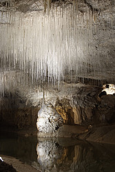 20070623_134103_ChorancheCave - The Choranche cave in the Vercors is famous for its needle-thin hordes of stalactites hanging from just about everywhere.
[ Click to go to the page where that image comes from ]