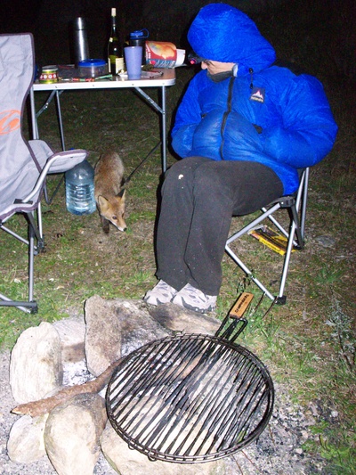 [20070907-215538_Fox.jpg]
While climbing in the Val d'Orco, we had company at the campsite on two evenings.