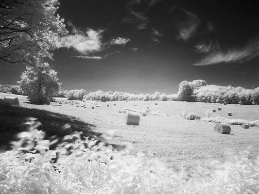 [20080622_111425_Infrared.jpg]
Freshly harvested haystacks in the field. This is not quite impressionist's Monet, but the eery light is there.