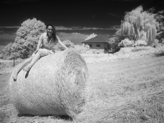 [20080622_112214_Infrared.jpg]
Same willow, same haystack and same model.