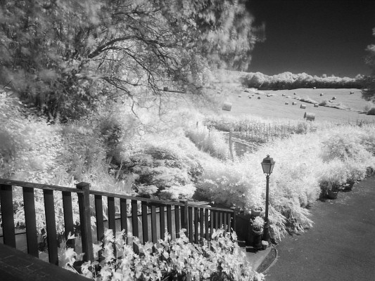 [20080622_152611_Infrared.jpg]
An average concrete staircase seen afresh with infrared vision.