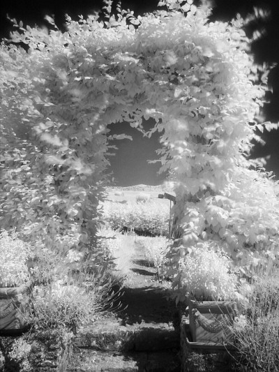 [20080622_153414_Infrared.jpg]
Tree-porch.