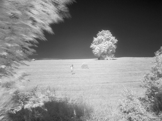 [20080622_160311_Infrared.jpg]
My own harvest fairy walking through the fields.