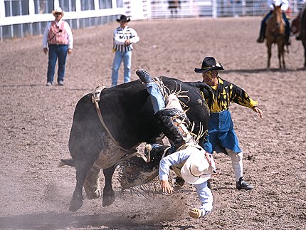 [RodeoBullEject.jpg]
Staying on is hard, but so is falling off.