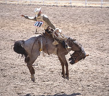 [RodeoHorseJump.jpg]
Saddled horse riding.